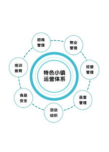 專訪光合文化創(chuàng)意集團(tuán)董事長(zhǎng)趙興朋 特色小鎮(zhèn)是個(gè)有機(jī)生命體，數(shù)字文化創(chuàng)意內(nèi)容的應(yīng)用與服務(wù)