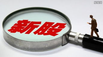 7只新股今日聯袂上市，盛天網絡領銜互聯網游戲服務板塊大漲44%遭臨停